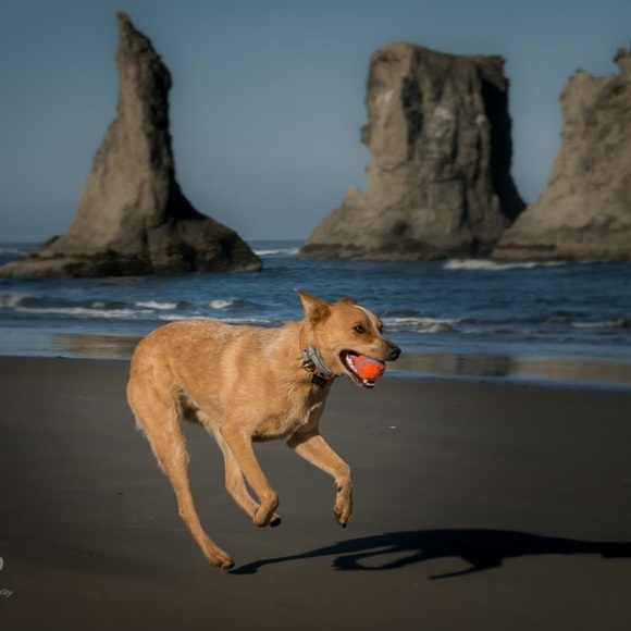 Meet the Posher Other - Meet your Posher, Andrea